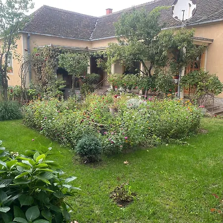 Petrov - Aleksandra 公寓 Kucevo