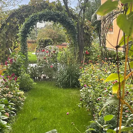 Petrov - Aleksandra * Kucevo