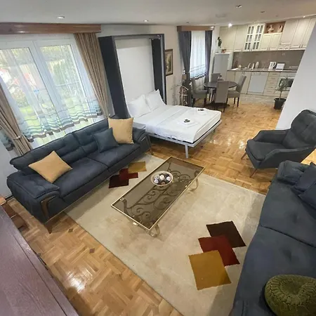 Petrov - Aleksandra Kucevo