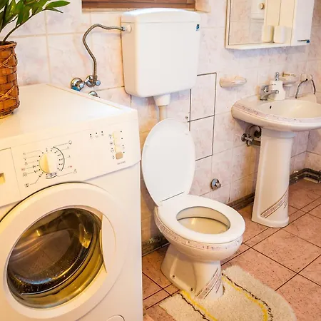 Petrov - Aleksandra Kucevo