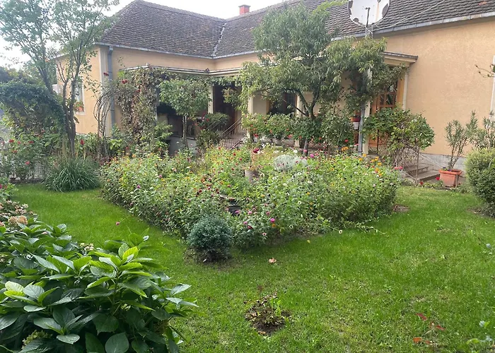 Petrov - Aleksandra 公寓 Kucevo