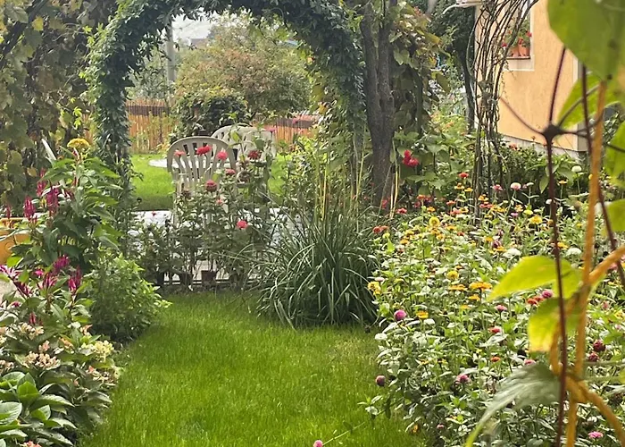 Petrov - Aleksandra * Kucevo