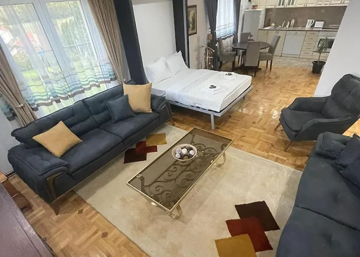 Petrov - Aleksandra Kucevo