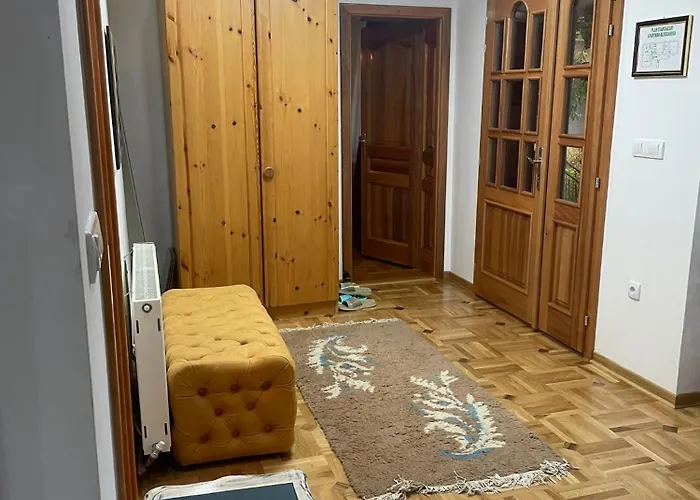 Petrov - Aleksandra 公寓 *